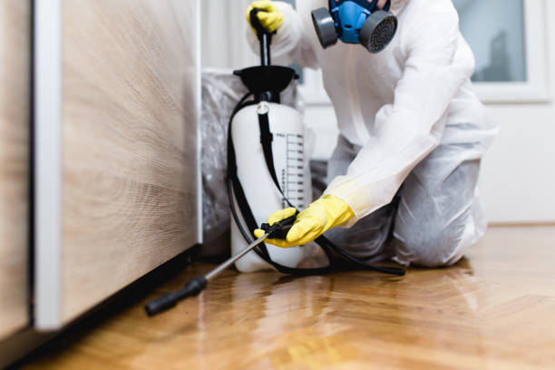 Best Ant Control Services  in Kewaskum, WI