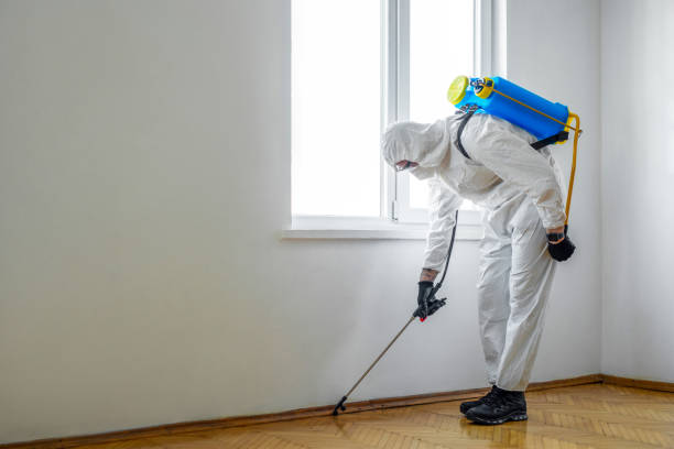 Best Exterminator Services  in Kewaskum, WI
