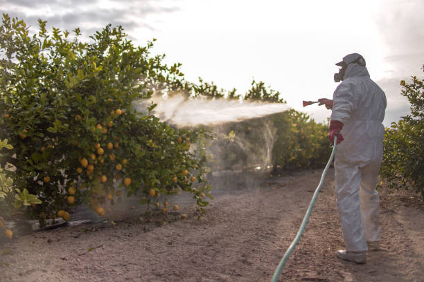 Best Insect Control  in Kewaskum, WI