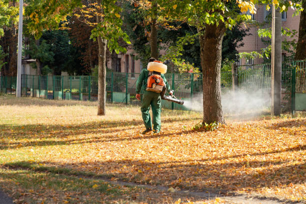 Best Pest Removal Services  in Kewaskum, WI