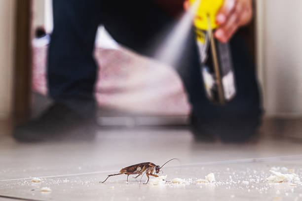 Bird Control in Kewaskum, WI