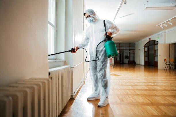 Trusted Kewaskum, WI Pest Control Experts