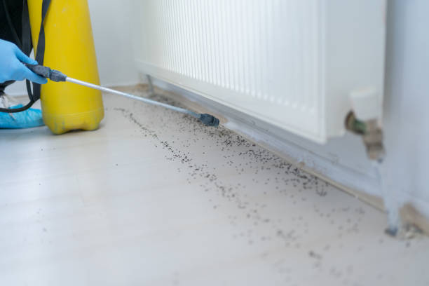 Best Pest Prevention Services  in Kewaskum, WI