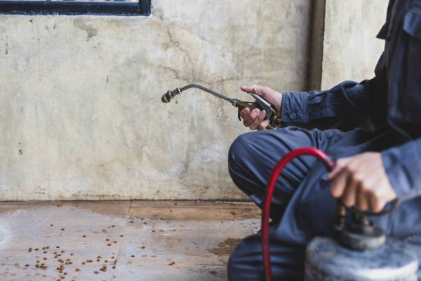 Pest Prevention Services in Kewaskum, WI